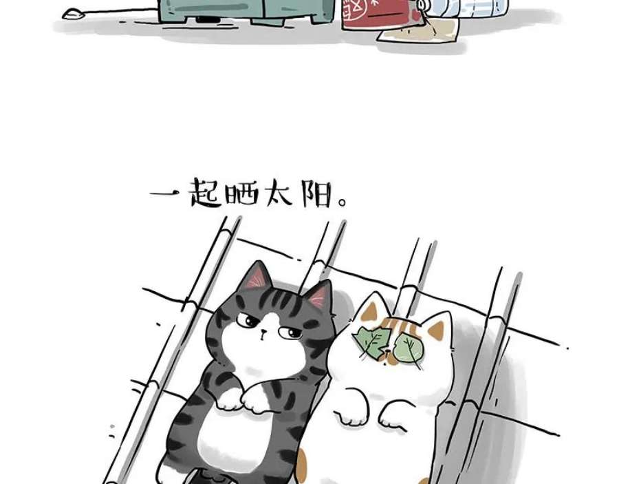 47.jpg