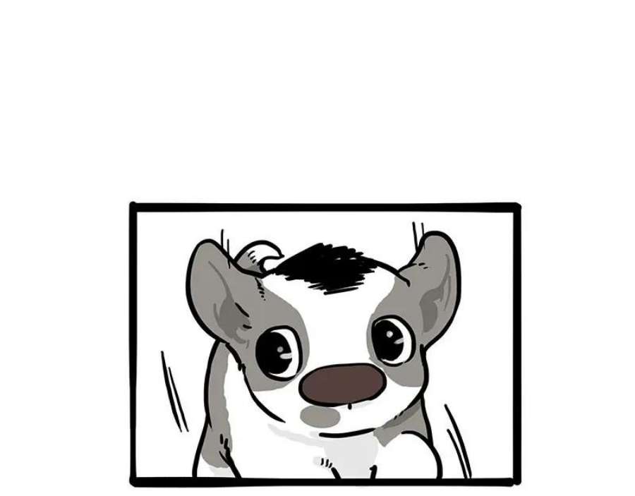 62.jpg