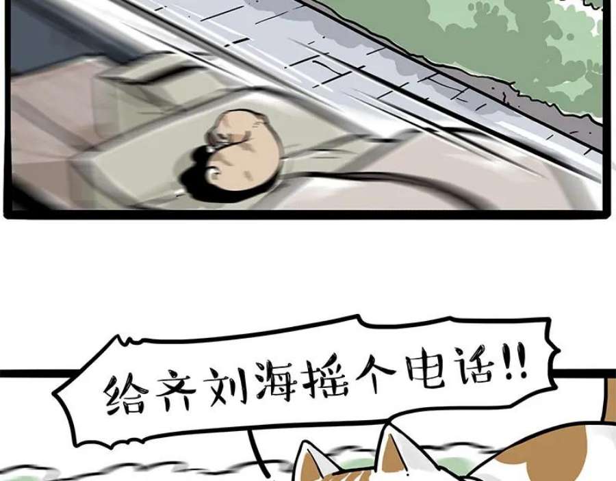39.jpg