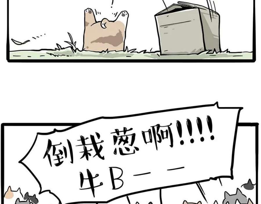 36.jpg