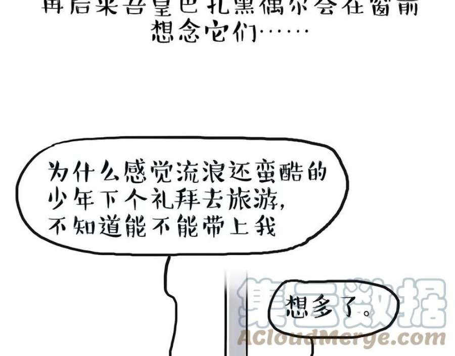 79.jpg