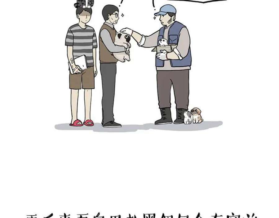 78.jpg