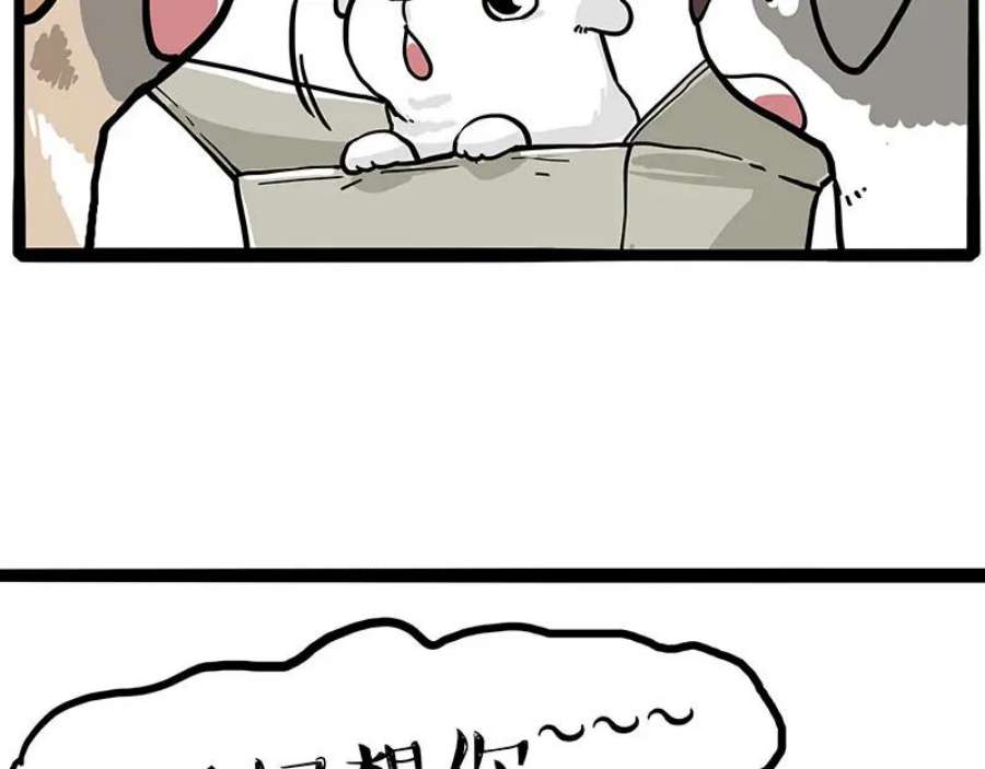 53.jpg