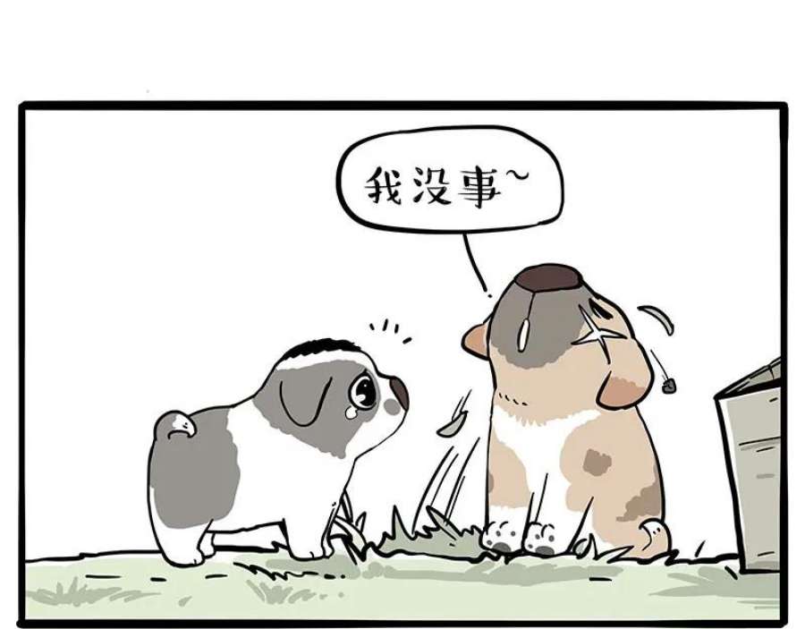 42.jpg