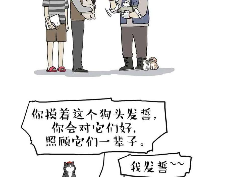77.jpg