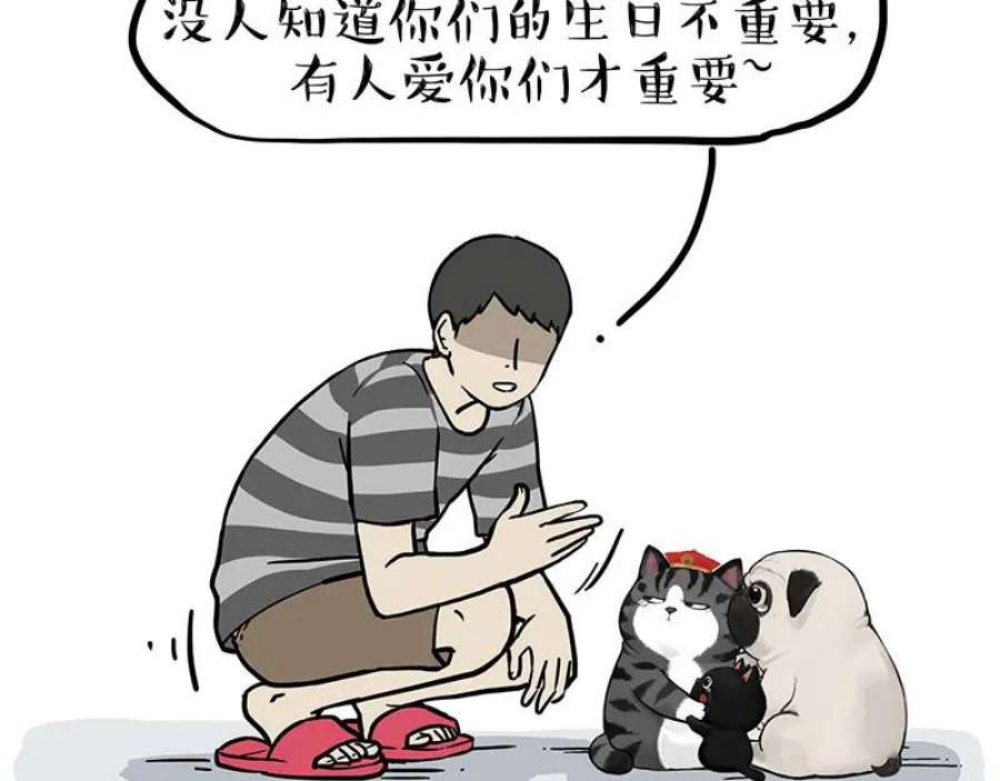 20.jpg