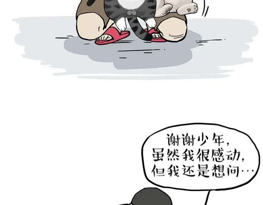 24.jpg