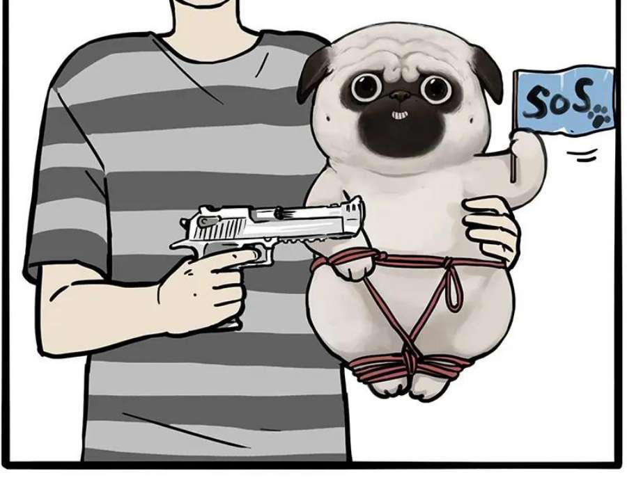 24.jpg