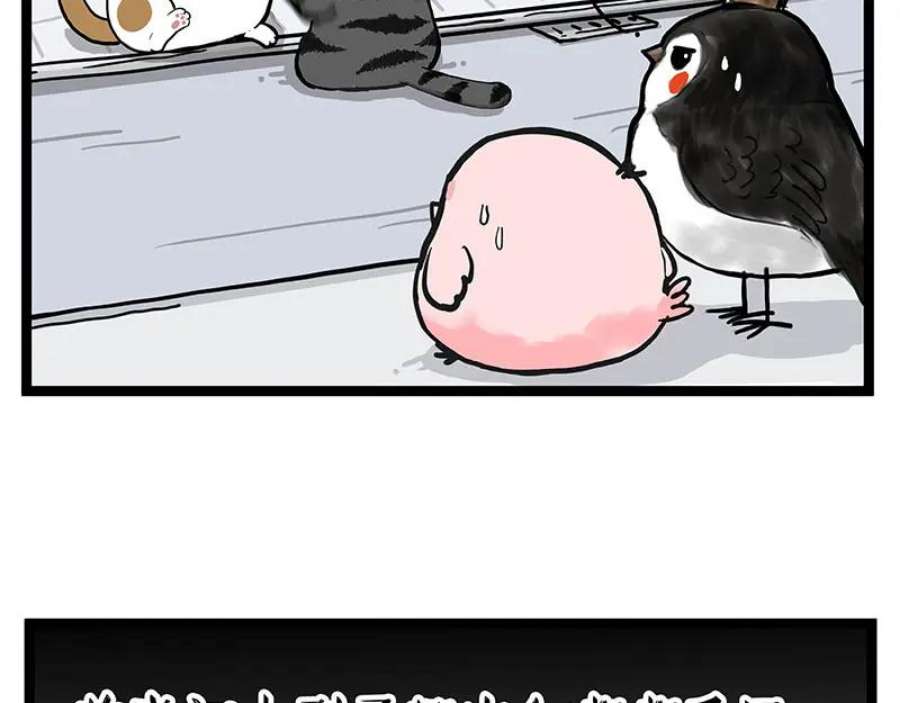 36.jpg