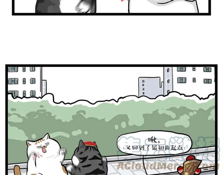 35.jpg