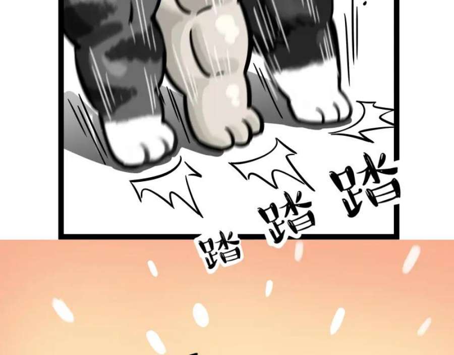 47.jpg