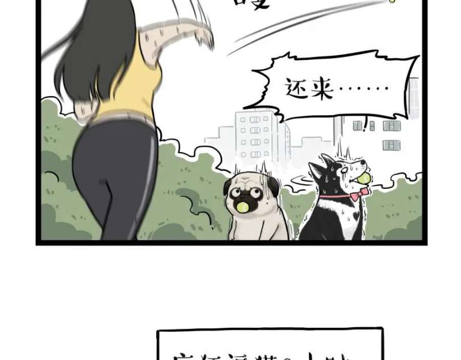 41.jpg