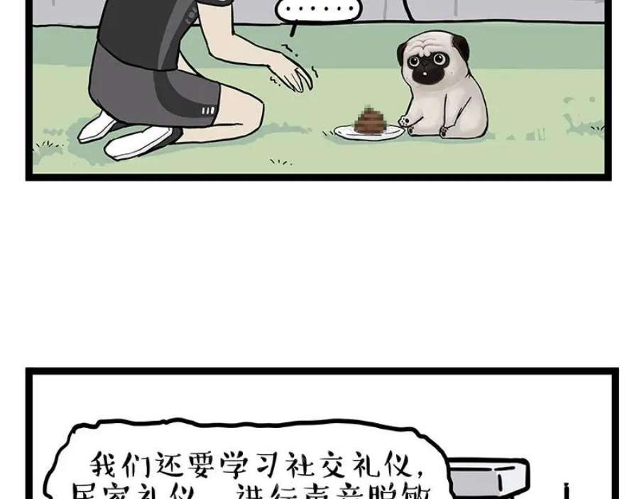 50.jpg