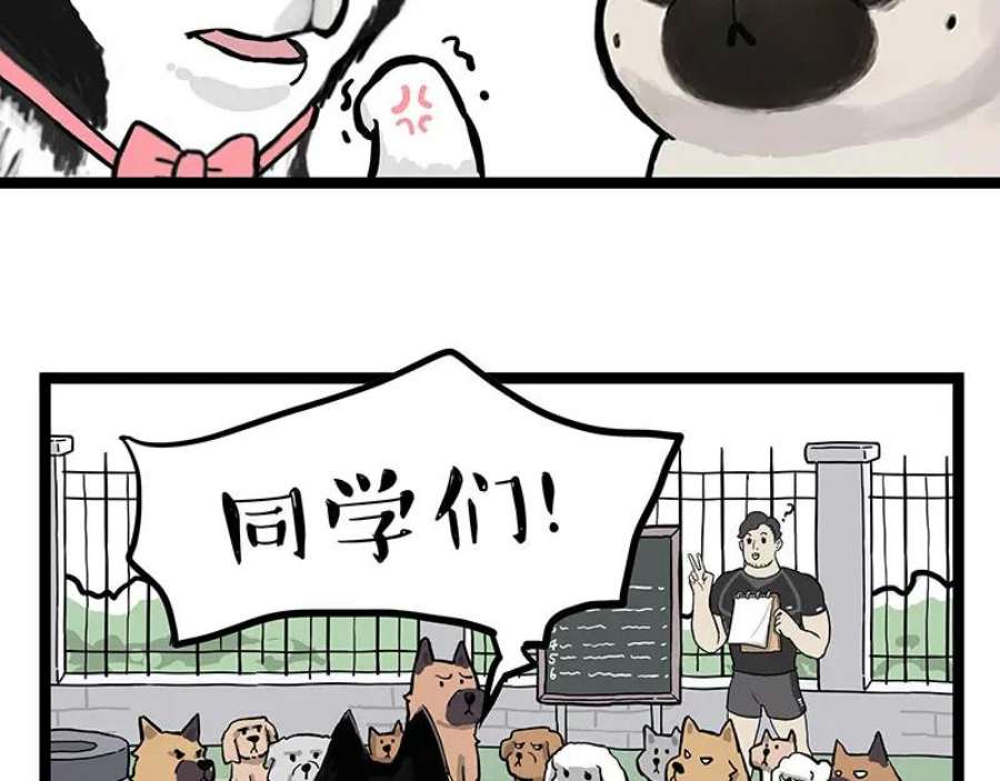 54.jpg