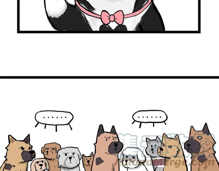 58.jpg