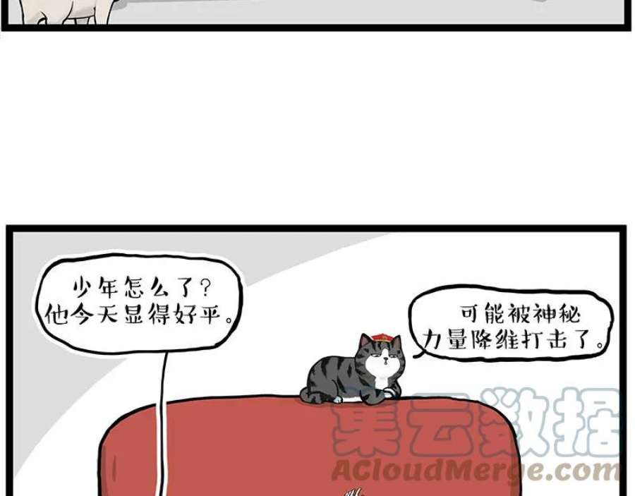 37.jpg