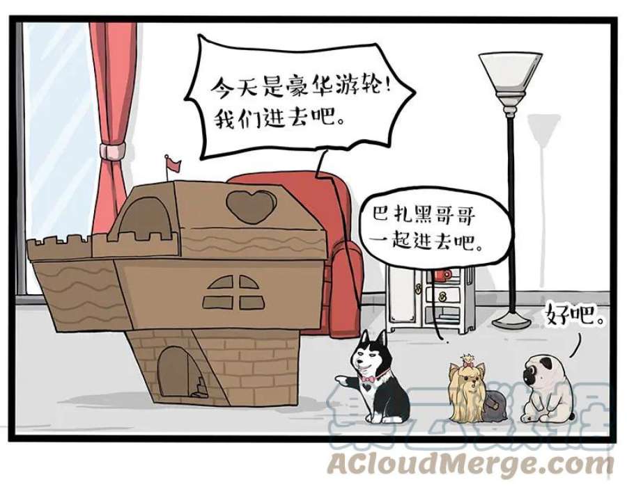 46.jpg