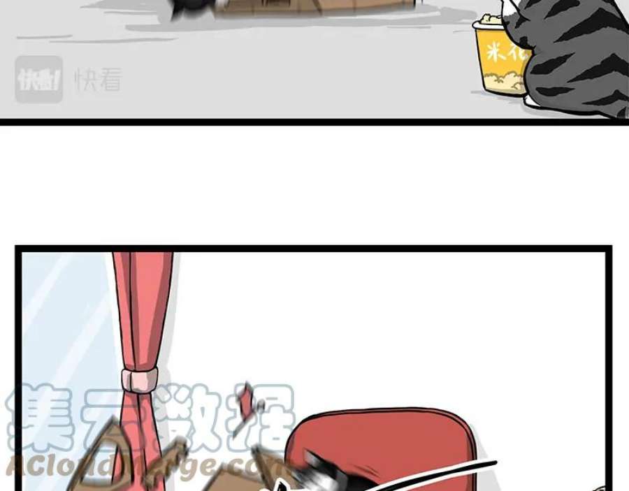 58.jpg