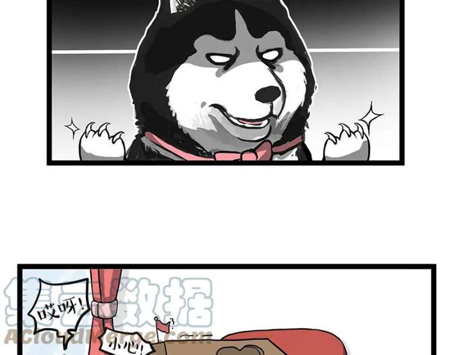 55.jpg