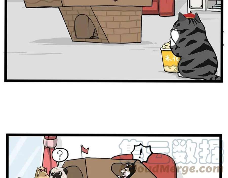 49.jpg