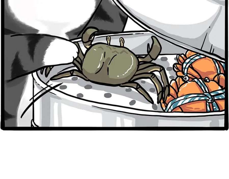 51.jpg