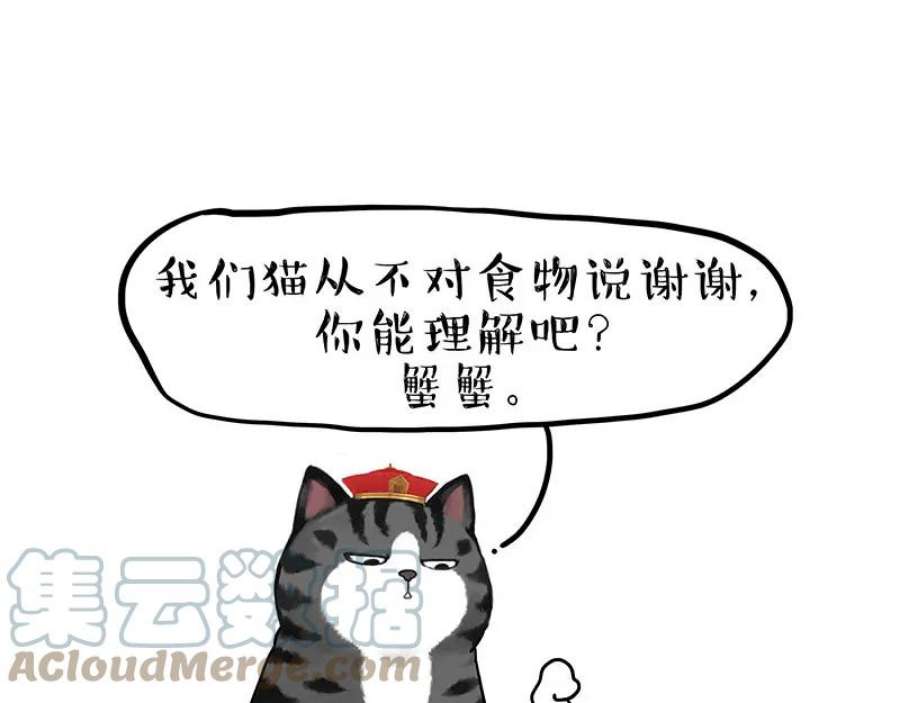 52.jpg