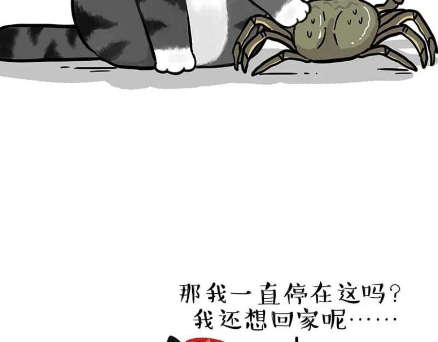 47.jpg