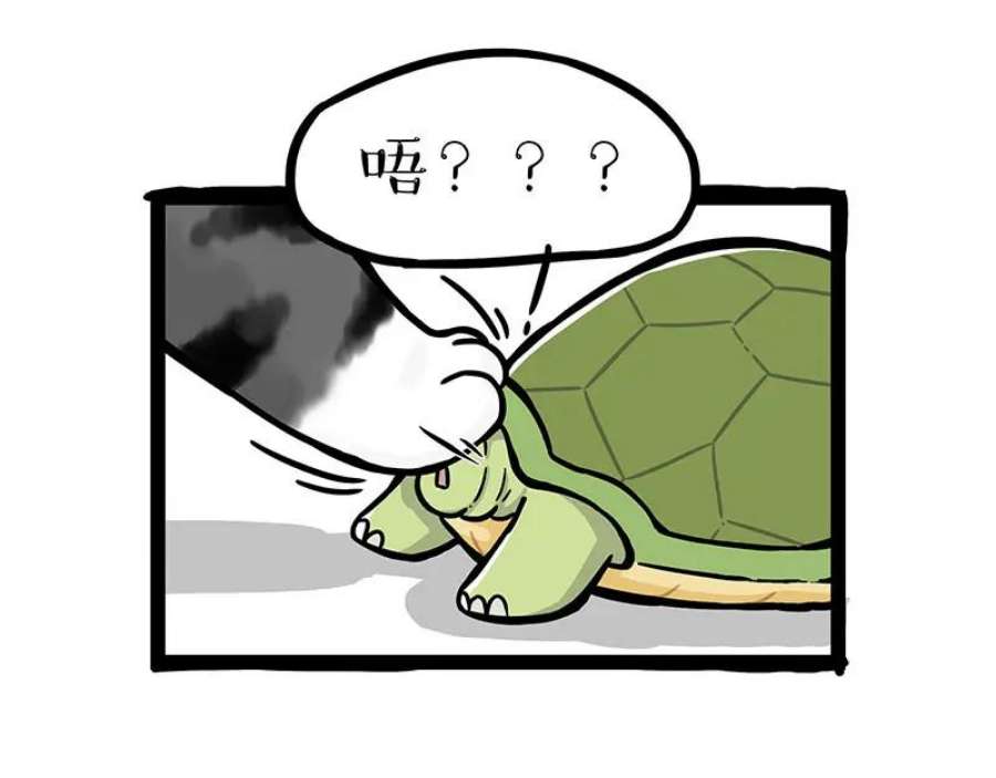 56.jpg