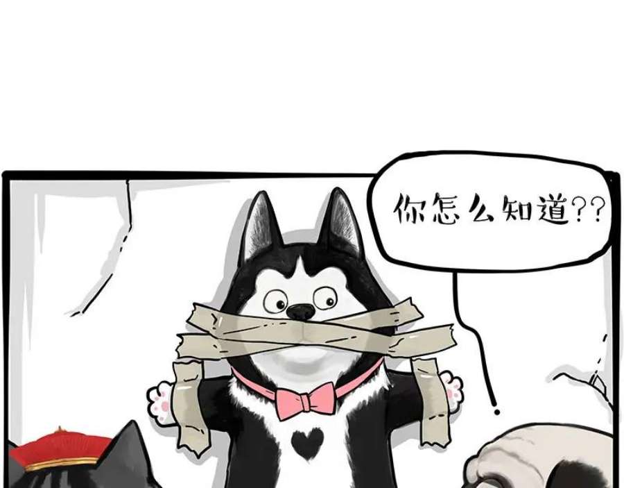 41.jpg