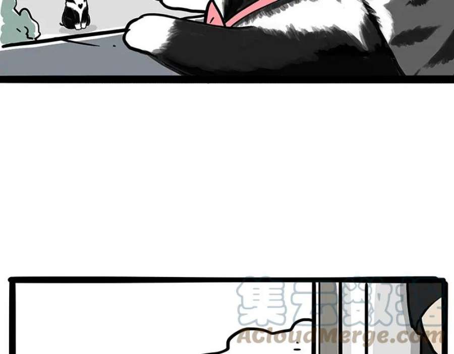 40.jpg