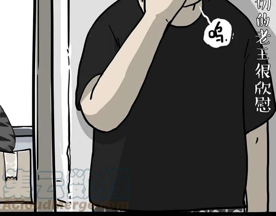 43.jpg