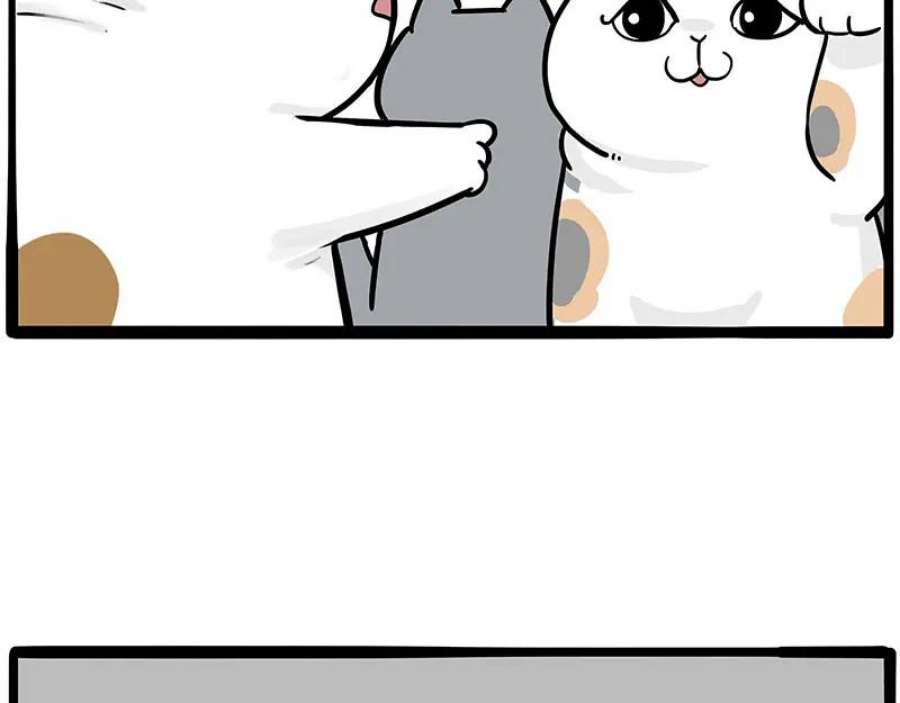 42.jpg