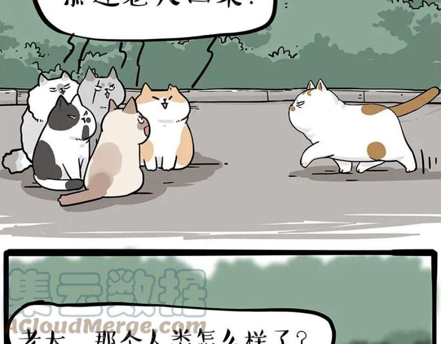 64.jpg