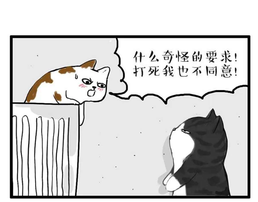 58.jpg