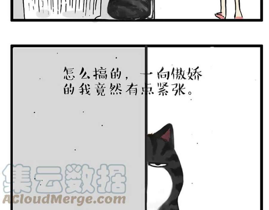 53.jpg