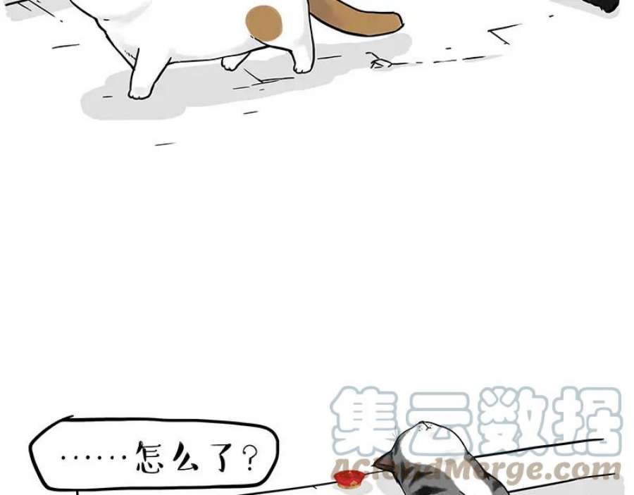 96.jpg