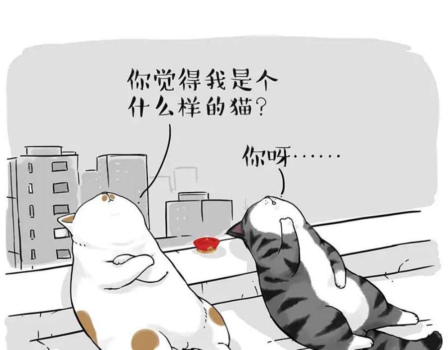 77.jpg