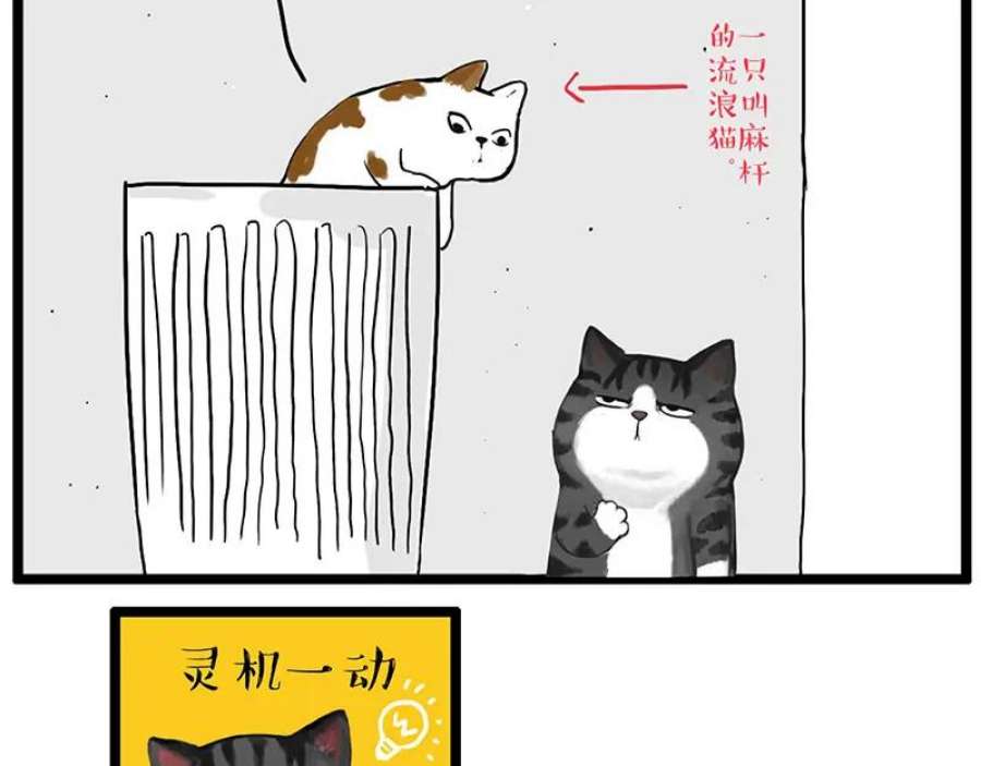 56.jpg