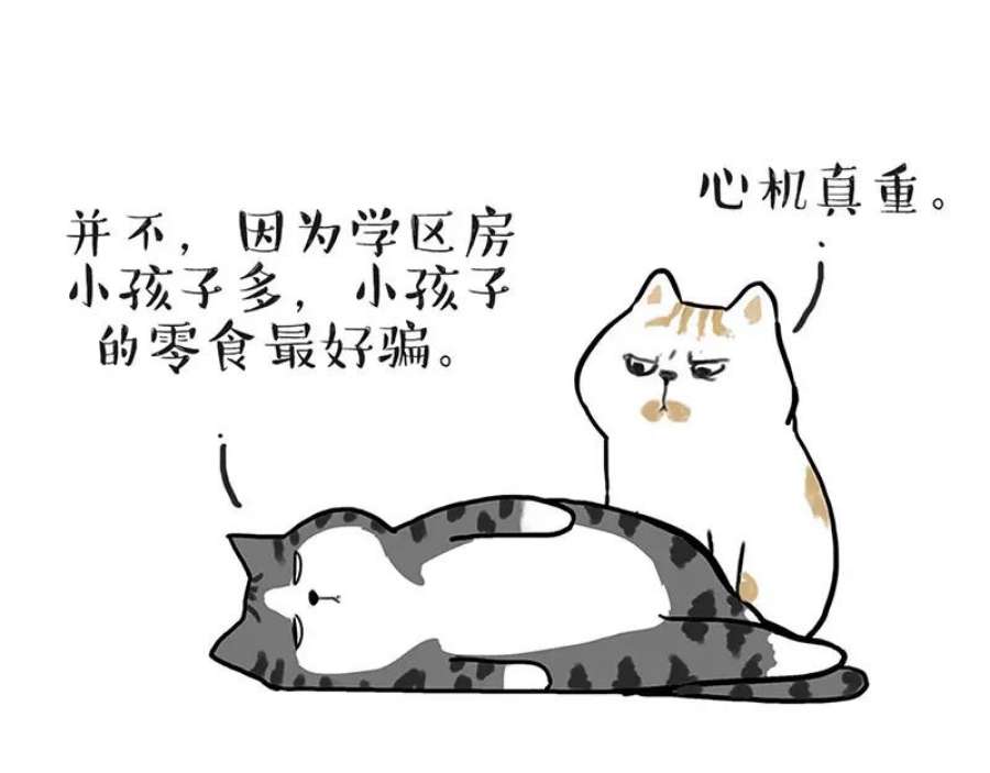 23.jpg