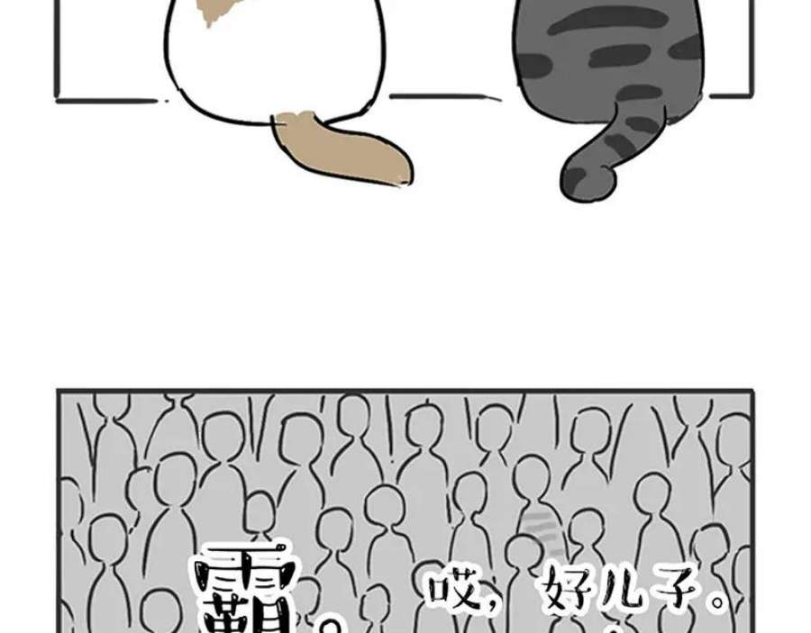 43.jpg