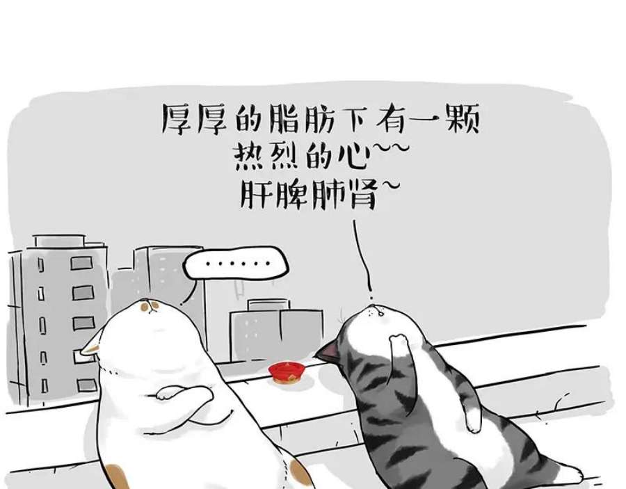 81.jpg