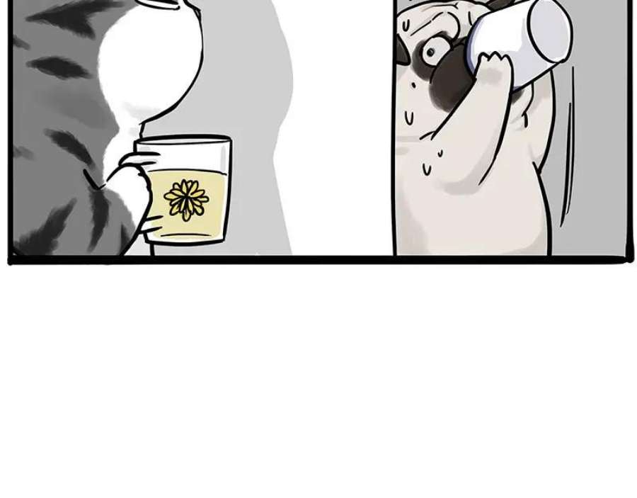 66.jpg