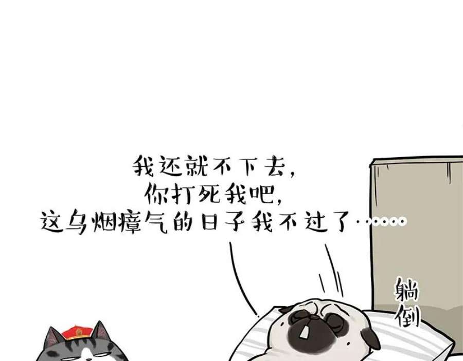 41.jpg
