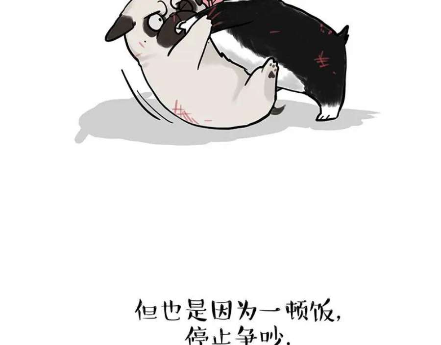 51.jpg