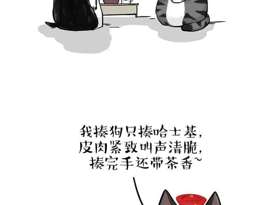 62.jpg
