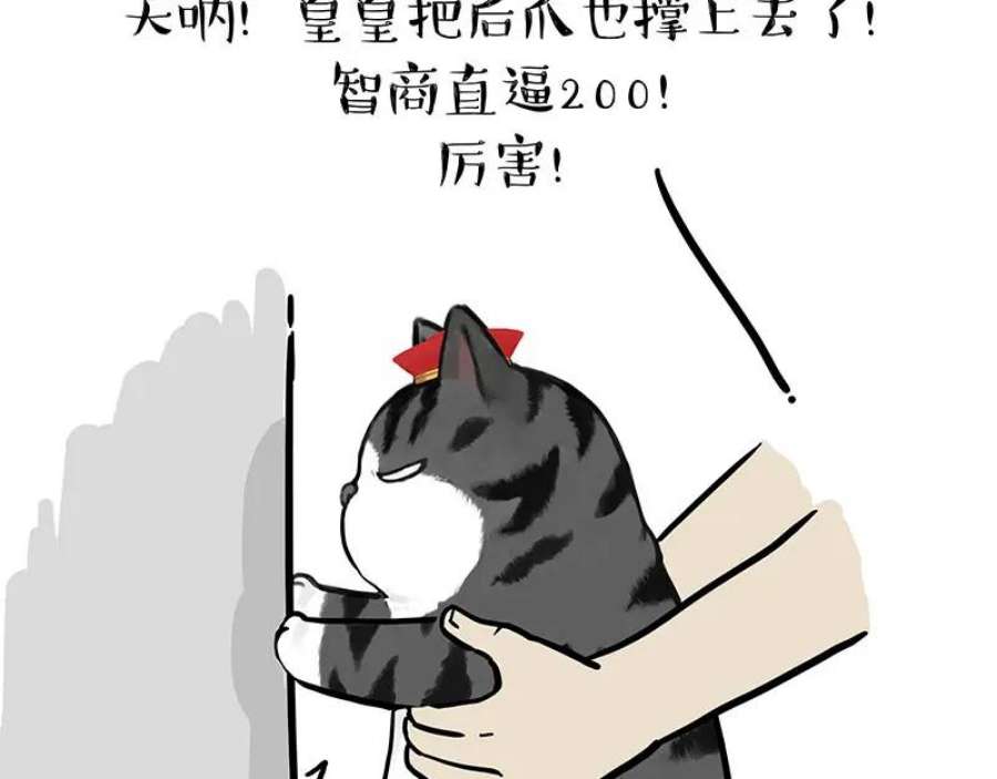 35.jpg