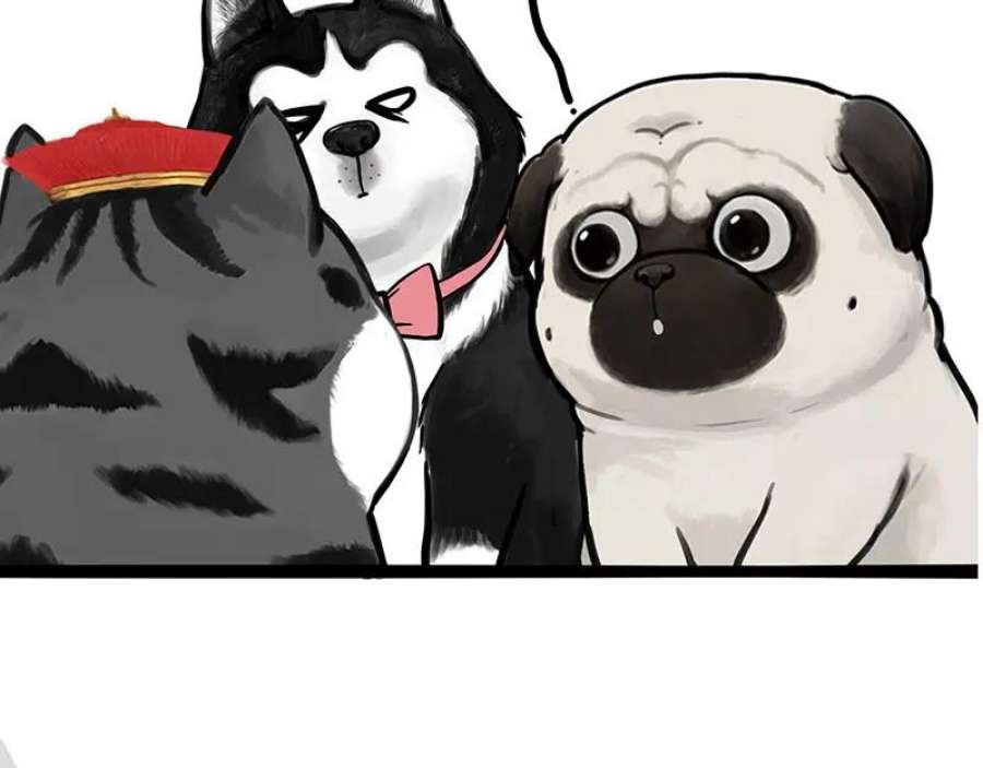 52.jpg