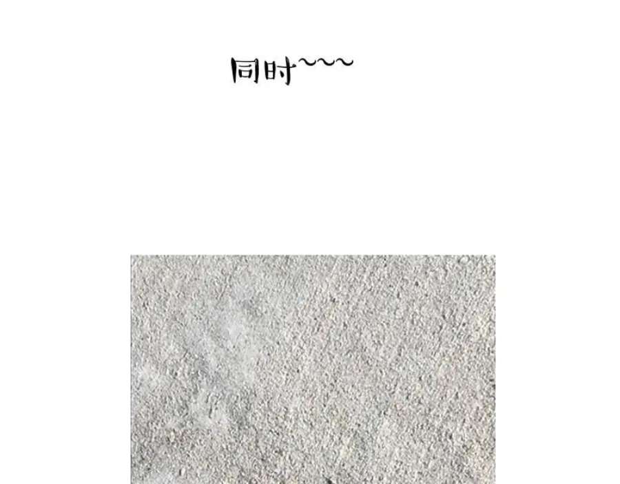 103.jpg