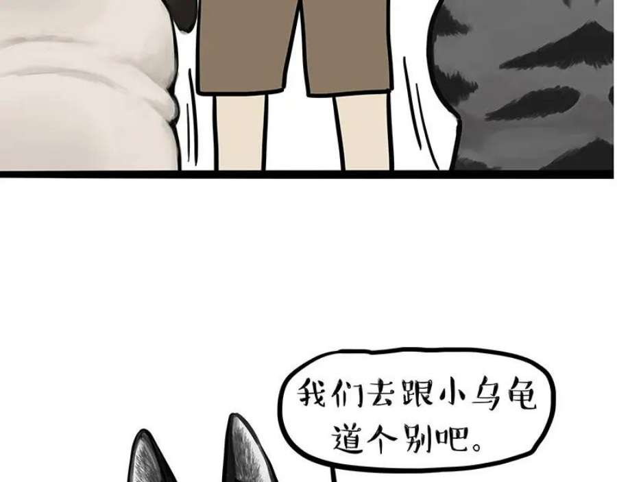 51.jpg