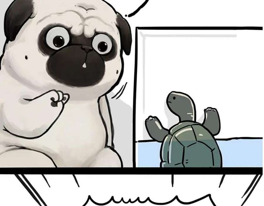 56.jpg